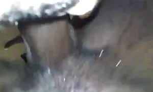 ebony queen ߊ ߓߋ ߕߏ  ...